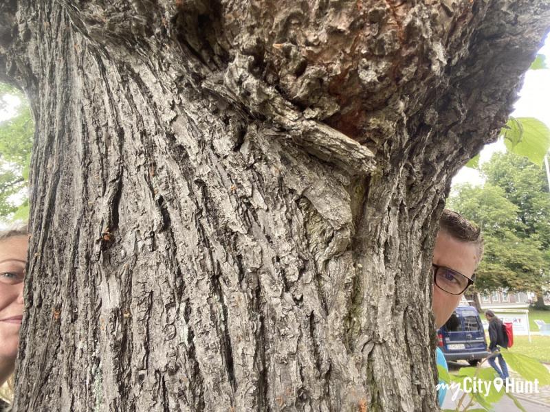 myCityHunt Schnitzeljagd 13