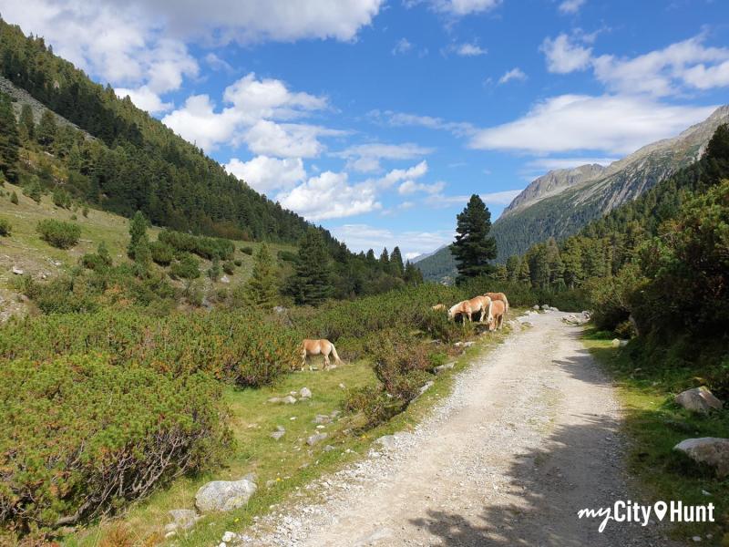 myCityHunt Schnitzeljagd 11