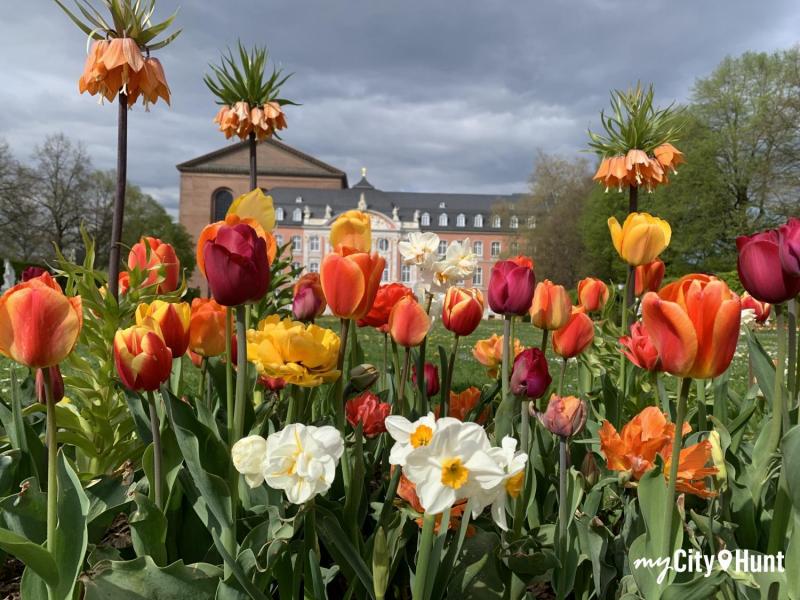 myCityHunt Schnitzeljagd 3